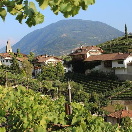 Weingut Eberlehof Lejlighed Bolzano Eksteriør billede