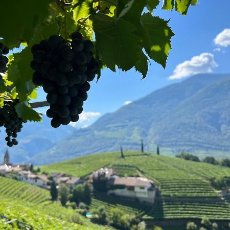 Weingut Eberlehof Lejlighed Bolzano Eksteriør billede