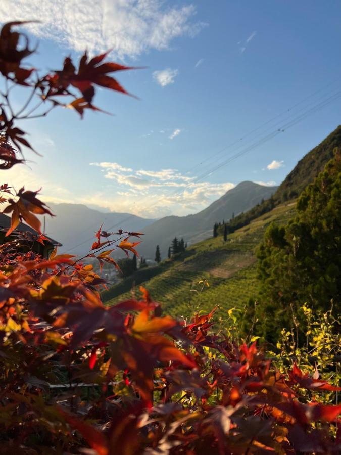 Weingut Eberlehof Lejlighed Bolzano Eksteriør billede