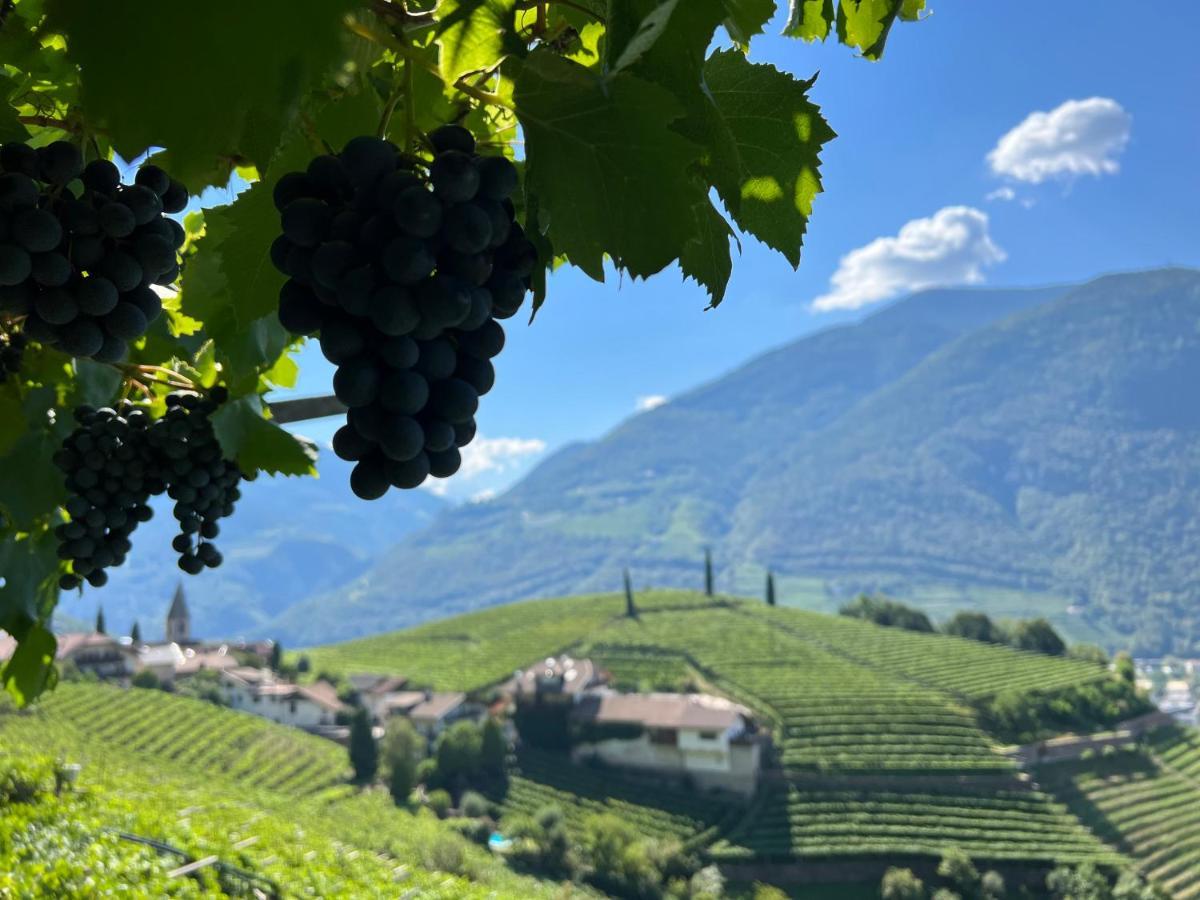 Weingut Eberlehof Lejlighed Bolzano Eksteriør billede